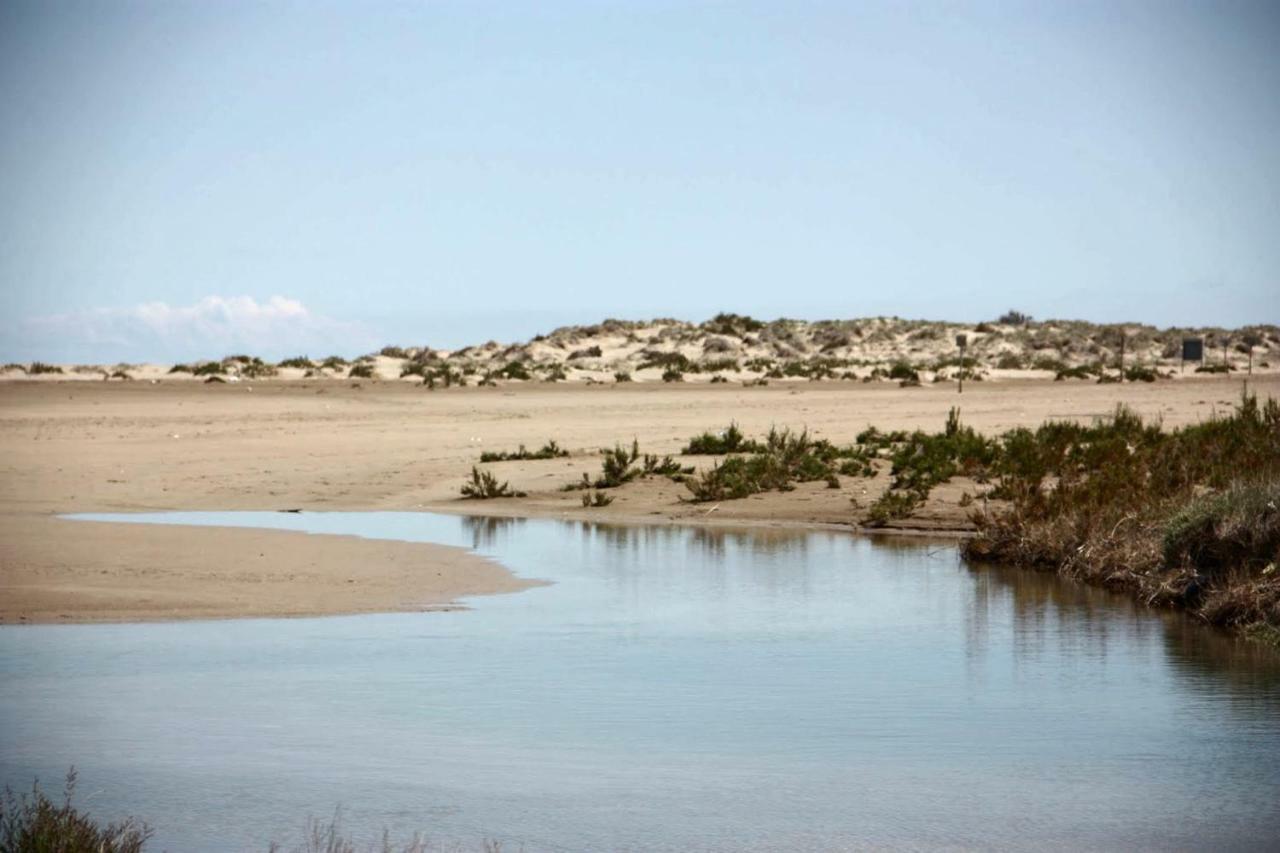 Mi Apartamento En El Delta Del Ebro+ Deltebre Exterior foto