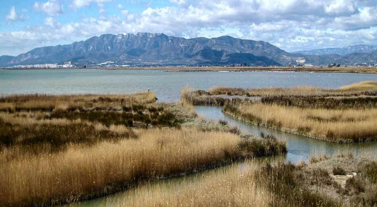 Mi Apartamento En El Delta Del Ebro+ Deltebre Exterior foto