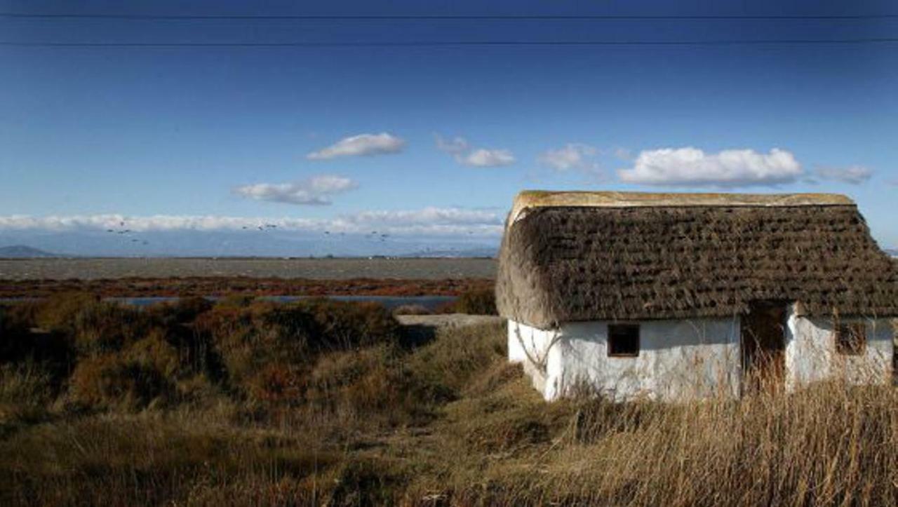 Mi Apartamento En El Delta Del Ebro+ Deltebre Exterior foto